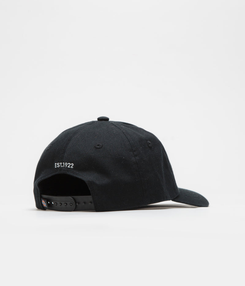Dickies Hardwick Cap in Black