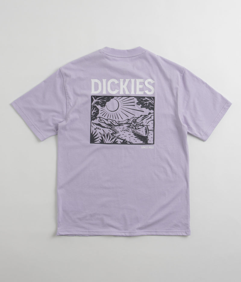 Dickies Patrick Springs T-Shirt in Cosmic Sky