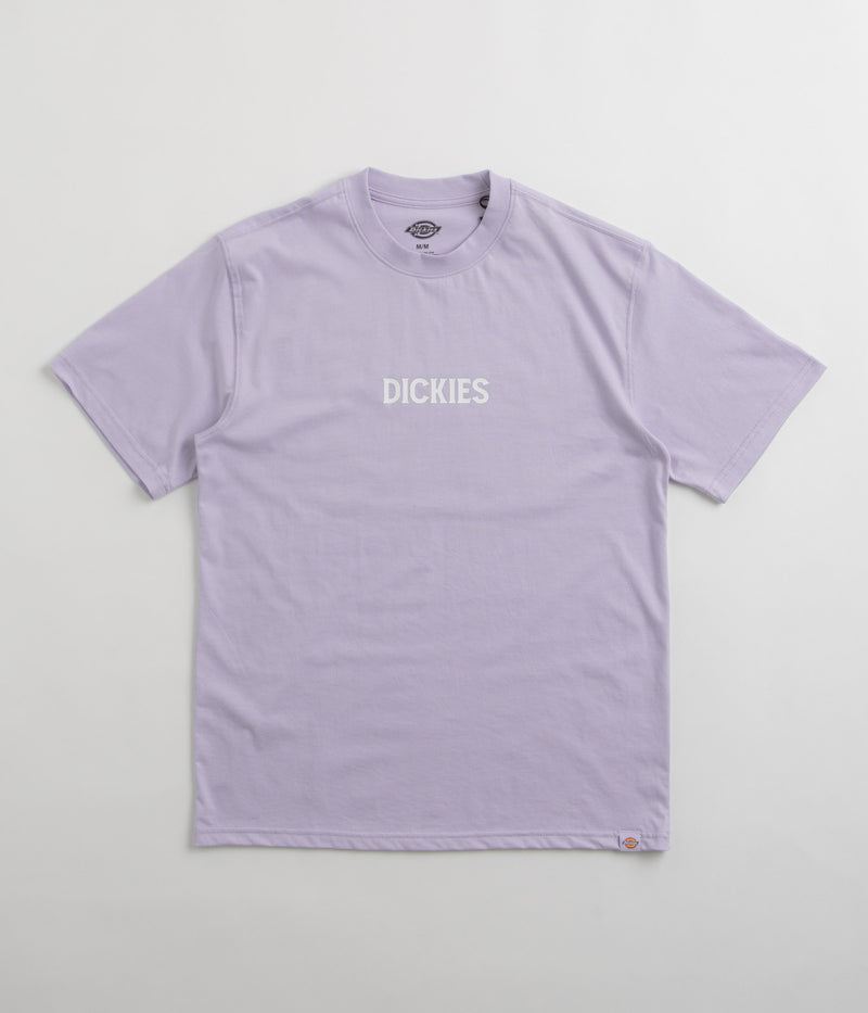 Dickies Patrick Springs T-Shirt in Cosmic Sky