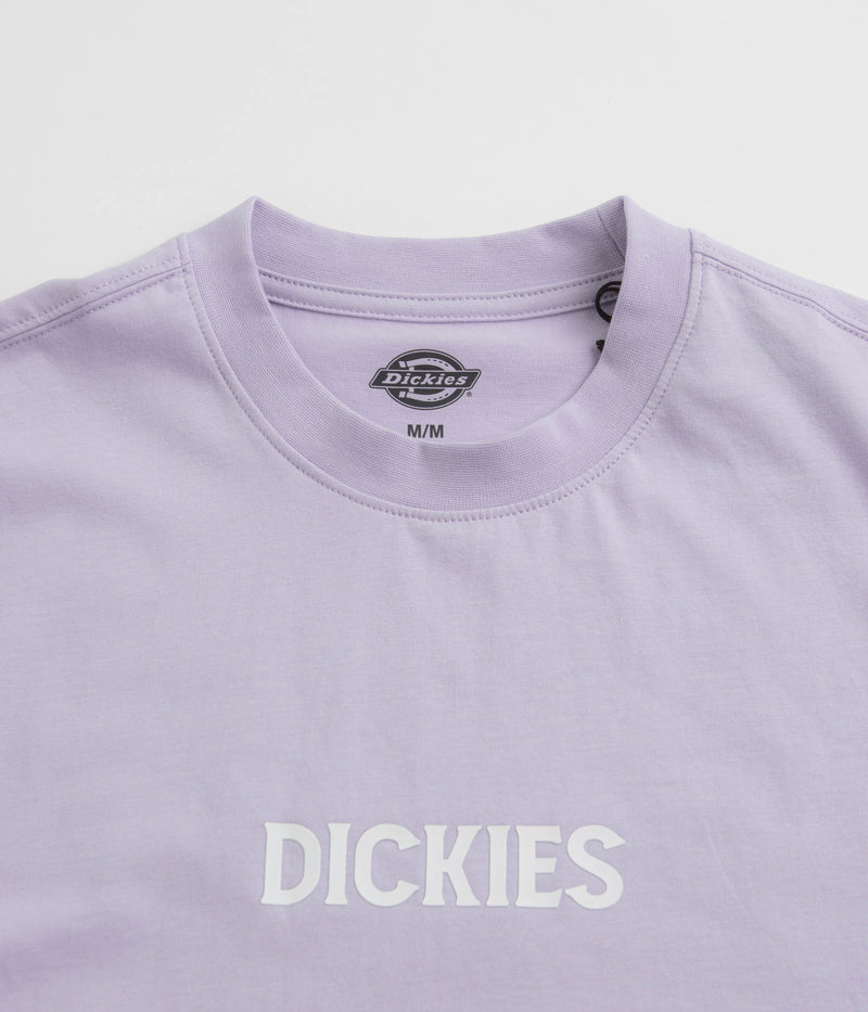 Dickies Patrick Springs T-Shirt in Cosmic Sky