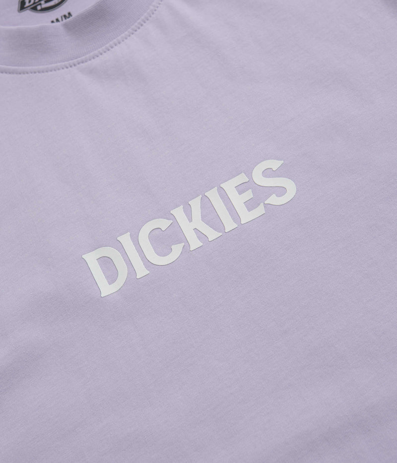 Dickies Patrick Springs T-Shirt in Cosmic Sky
