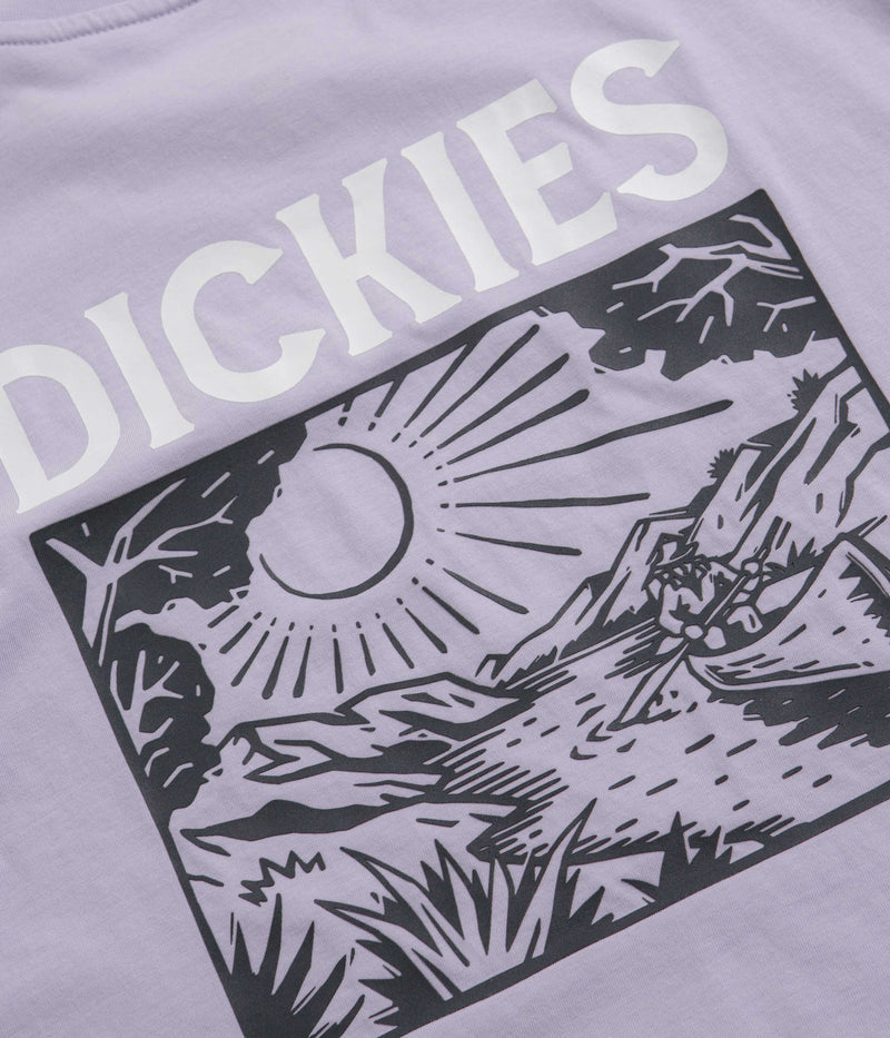 Dickies Patrick Springs T-Shirt in Cosmic Sky