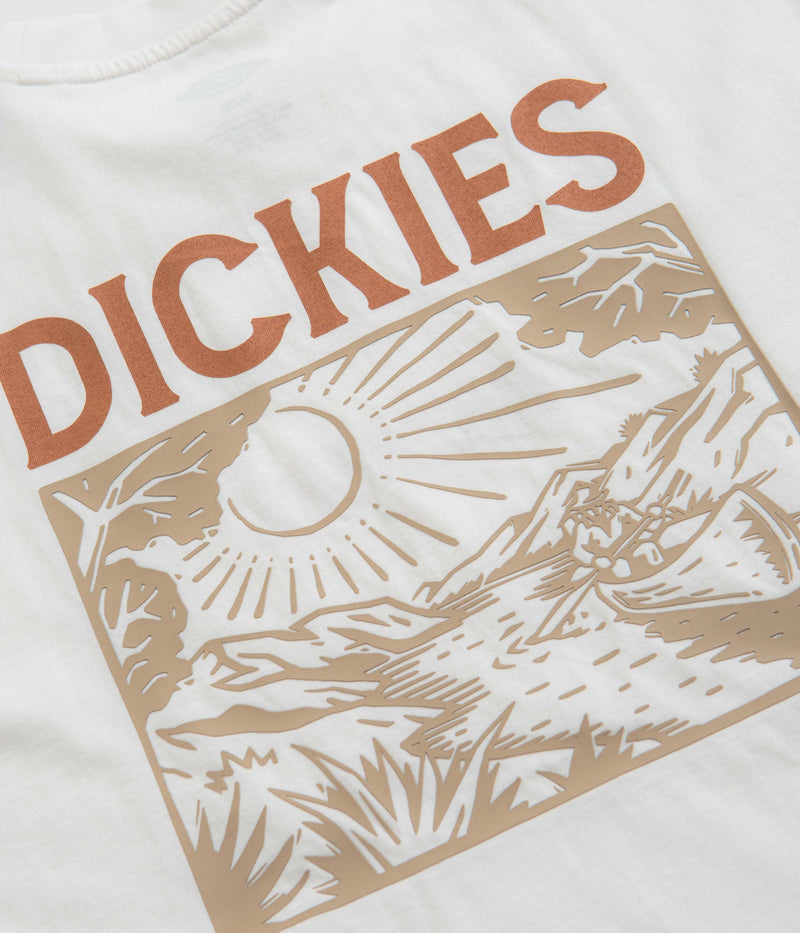 Dickies Patrick Springs T-Shirt in White