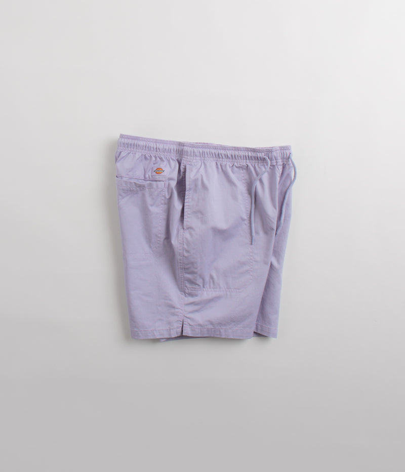 Dickies Pelican Rapids Shorts in Cosmic Sky