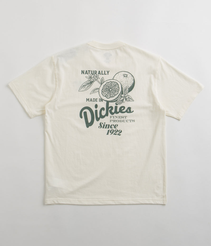 Dickies Raven T-Shirt in Cloud