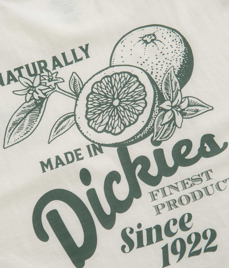 Dickies Raven T-Shirt in Cloud