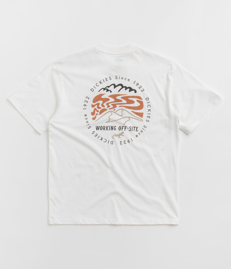 Dickies Stanardsville T-Shirt in White