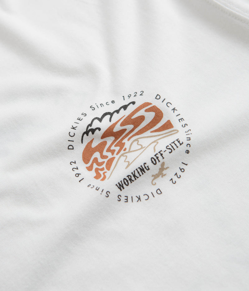 Dickies Stanardsville T-Shirt in White