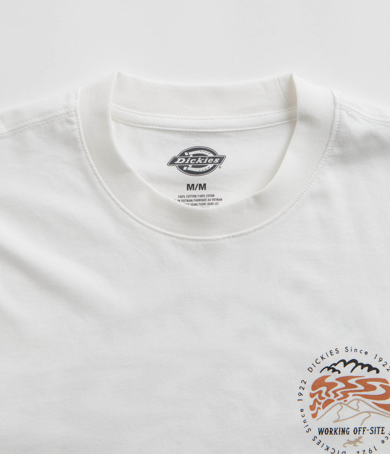 Dickies Stanardsville T-Shirt in White