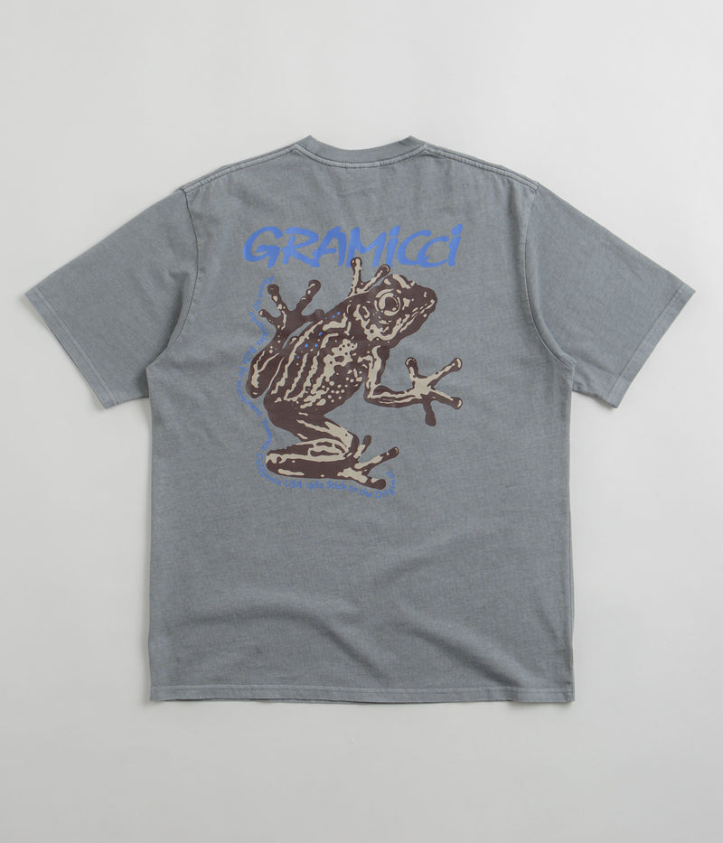 Gramicci Sticky Frog T-Shirt in Slate Pigment