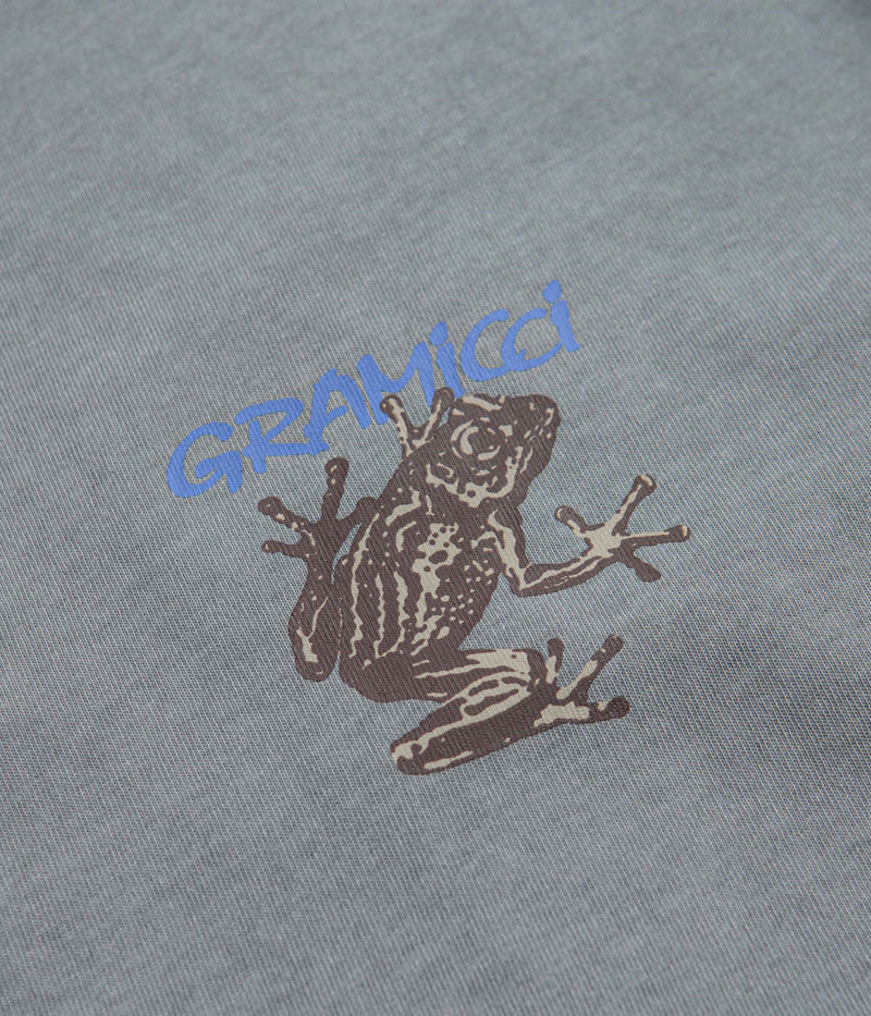 Gramicci Sticky Frog T-Shirt in Slate Pigment