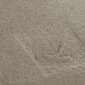 Sperry Harpoon 3-Eye Boat Shoe FOOTWEAR image