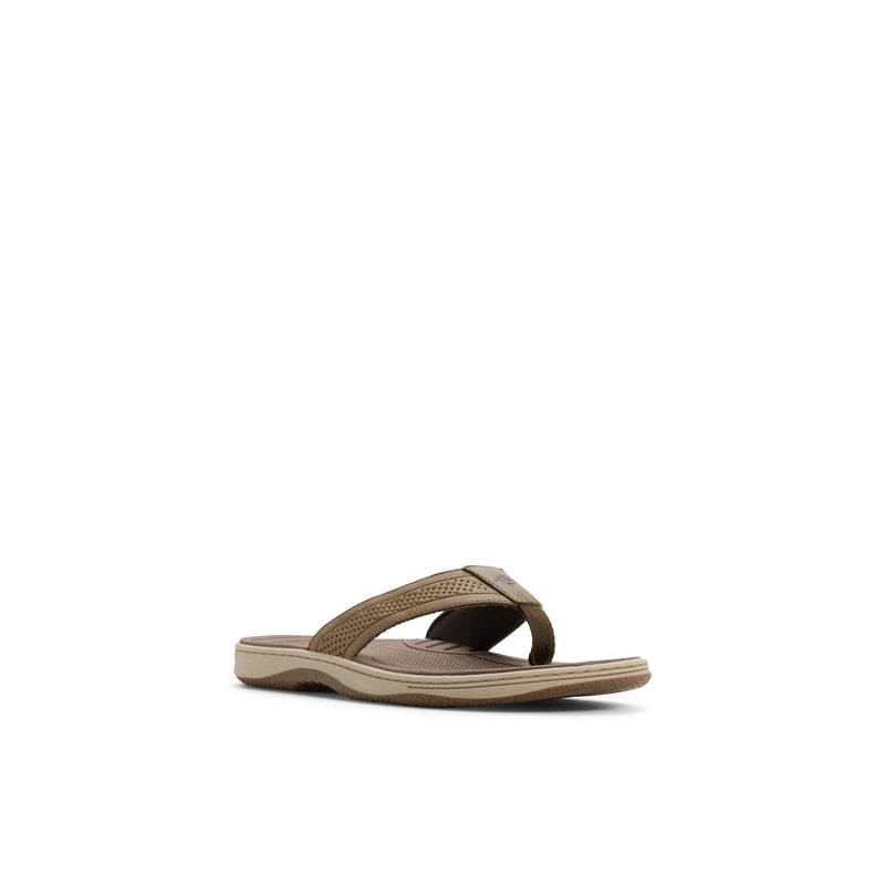 Sperry Havasu Thong Sandal FOOTWEAR image