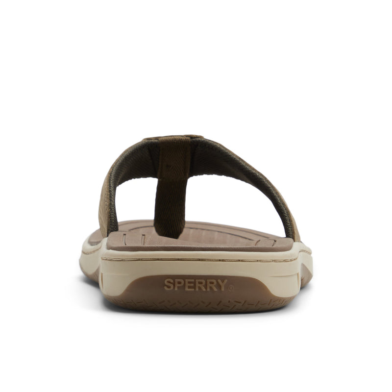 Sperry Havasu Thong Sandal FOOTWEAR image