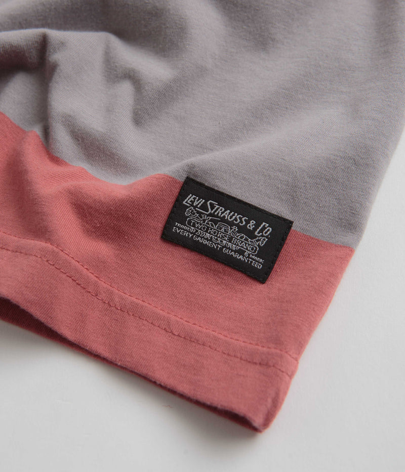 Levi's® Skate Graphic Boxy T-Shirt in Everyday Now Mauve Grey
