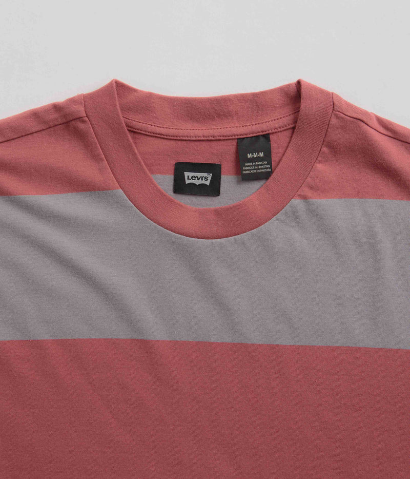 Levi's® Skate Graphic Boxy T-Shirt in Everyday Now Mauve Grey