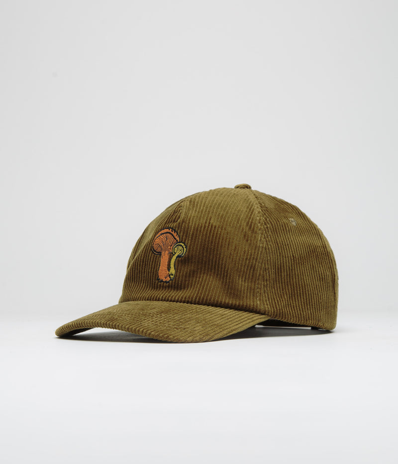 Mollusk Field Guide Corduroy Cap in Olive