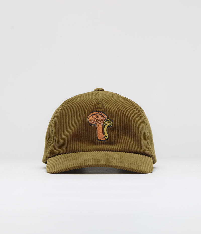 Mollusk Field Guide Corduroy Cap in Olive