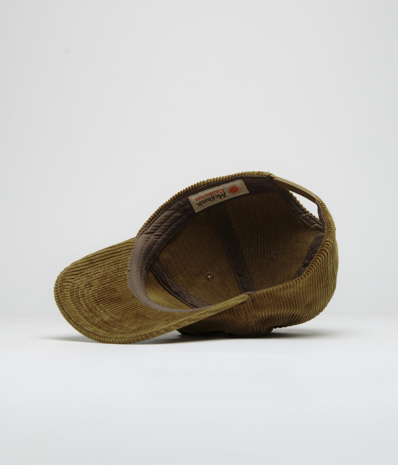 Mollusk Field Guide Corduroy Cap in Olive