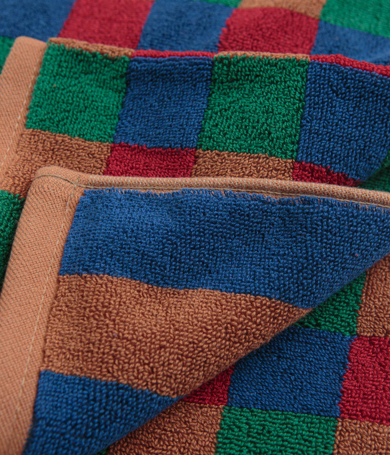 Mollusk Interweave Towel in Multi