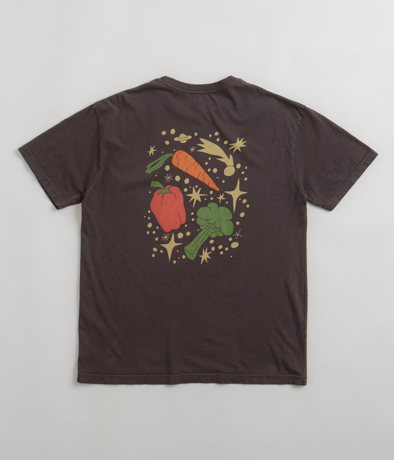 Mollusk Outer Veggie T-Shirt in Faded Black