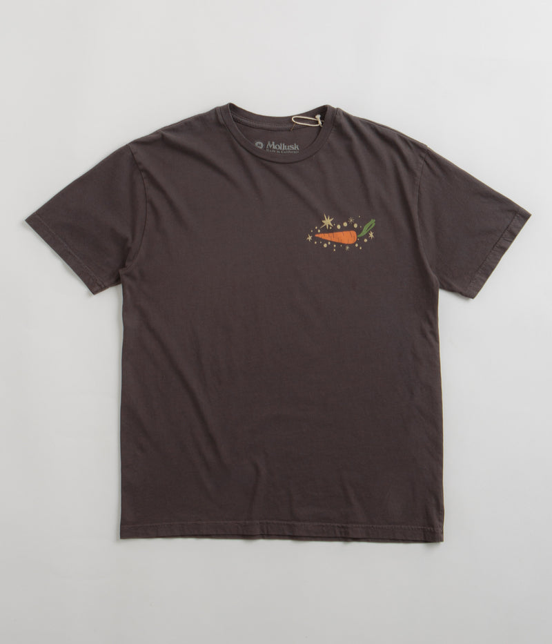 Mollusk Outer Veggie T-Shirt in Faded Black