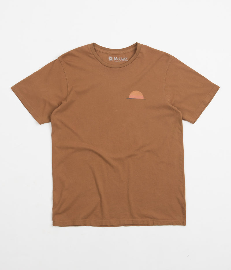 Mollusk Realize T-Shirt in Orange Earth