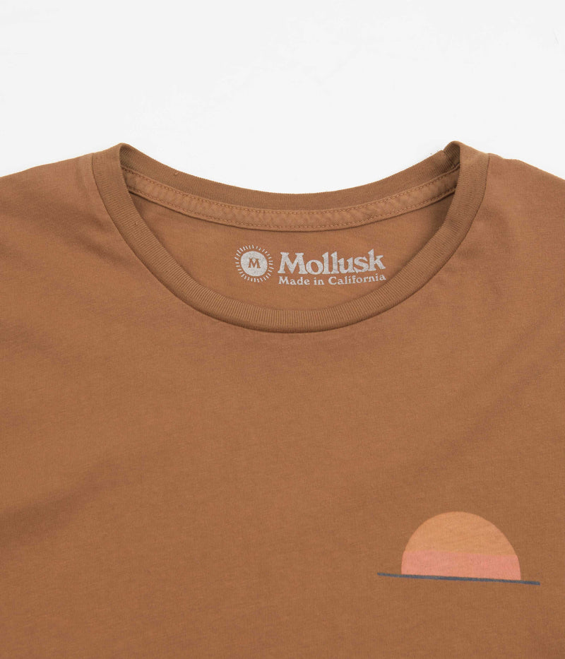 Mollusk Realize T-Shirt in Orange Earth