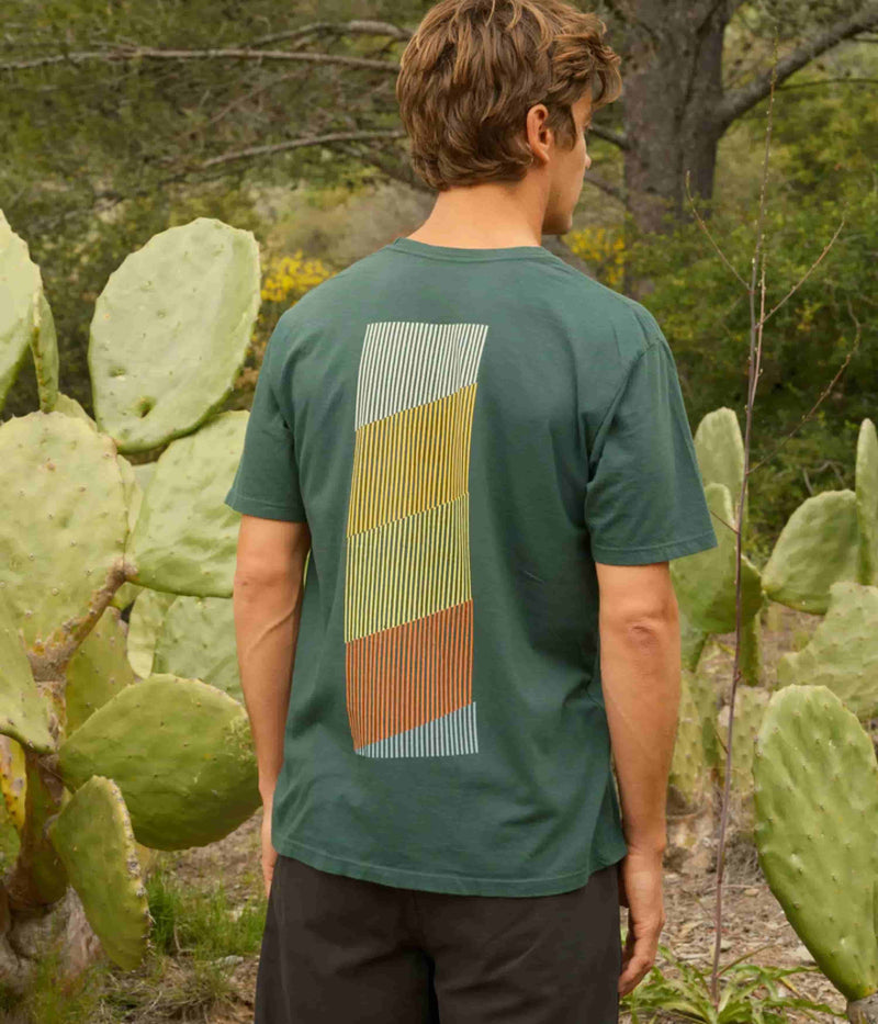 Mollusk Spectrum T-Shirt in Pinyon Green