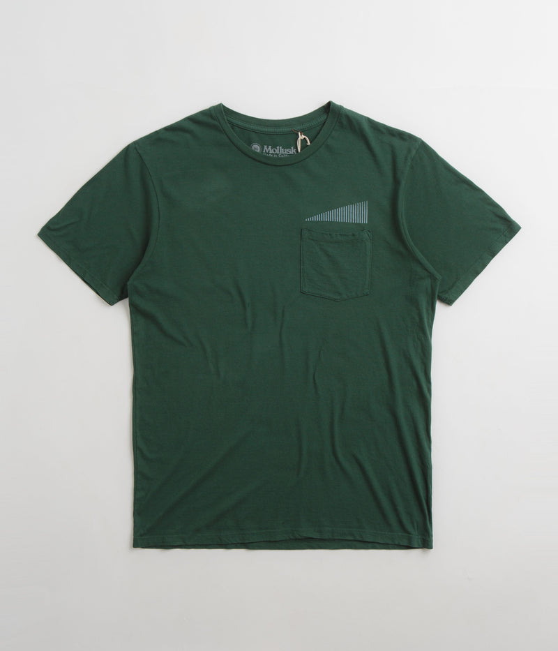Mollusk Spectrum T-Shirt in Pinyon Green