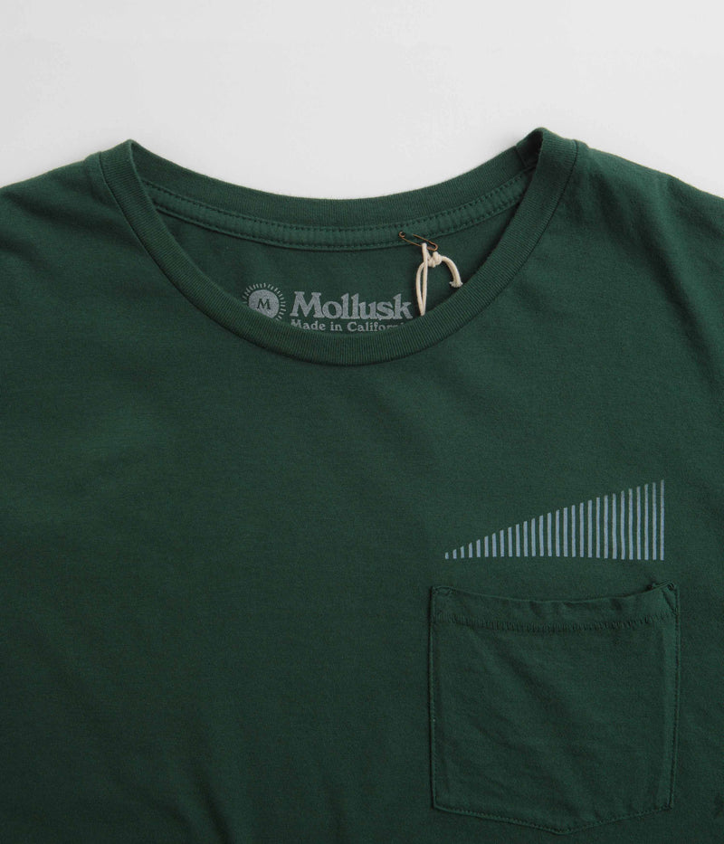 Mollusk Spectrum T-Shirt in Pinyon Green