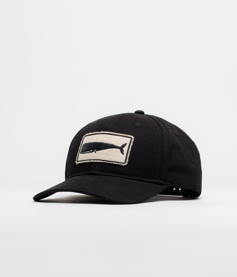 Mollusk Whale Patch Cap in Black