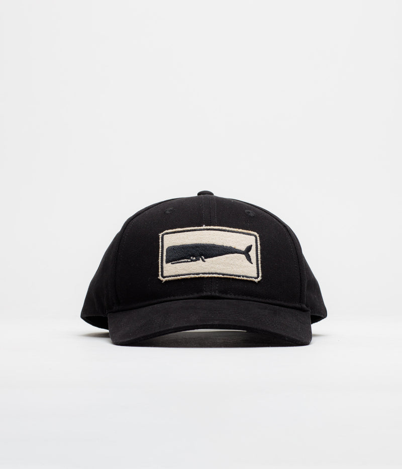 Mollusk Whale Patch Cap in Black
