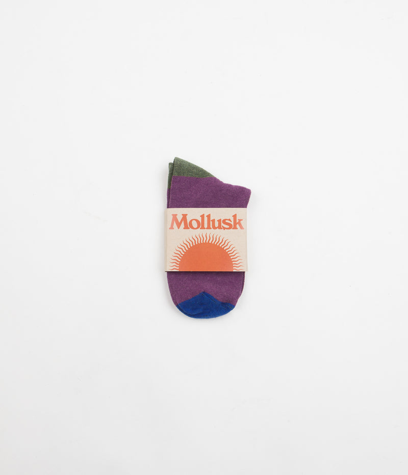 Mollusk Womens Color Block Socks in Huckleberry