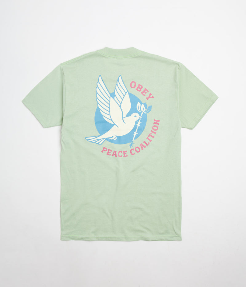 Obey Dove Barbed Wire T-Shirt in Cucumber