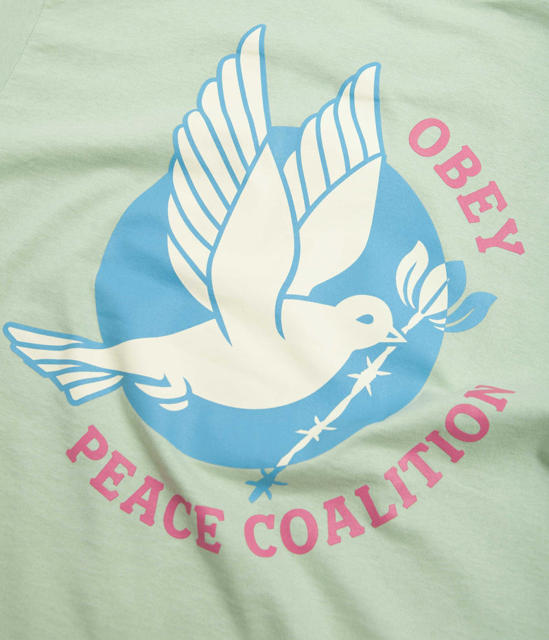 Obey Dove Barbed Wire T-Shirt in Cucumber