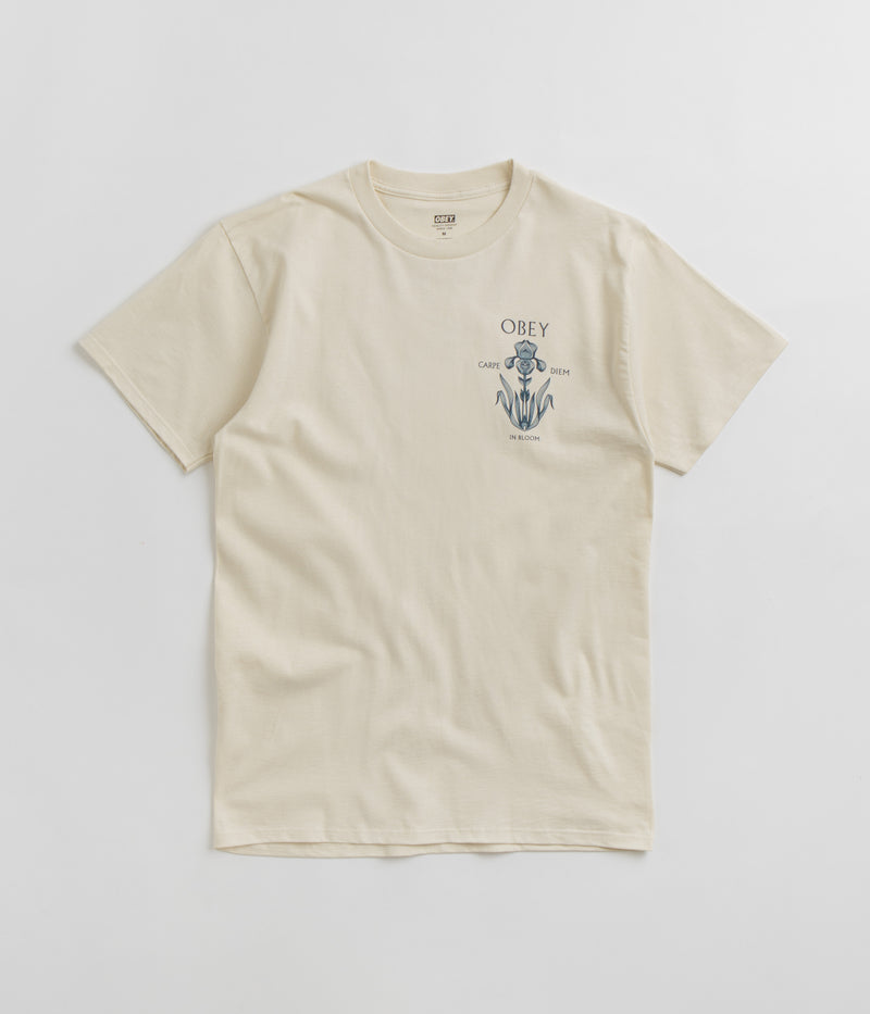 Obey Iris In Bloom T-Shirt in Cream