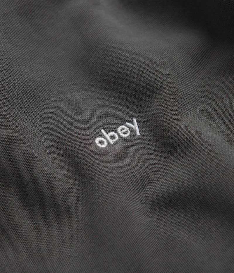 Obey Lowercase Pigment Hoodie in Digital Black
