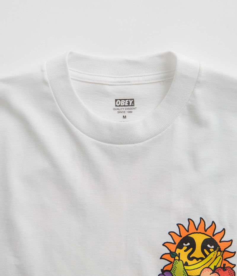 Obey The Future Is The Fruits Of Our Labour T-Shirt in White