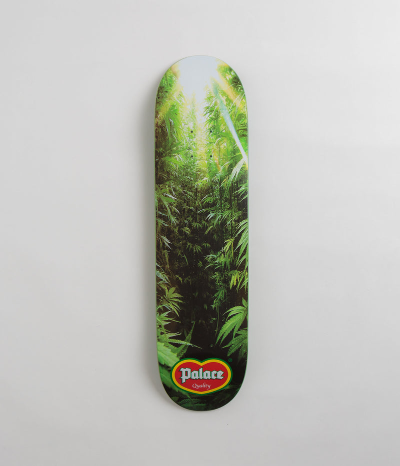 Palace Quality Deck in 8.1"