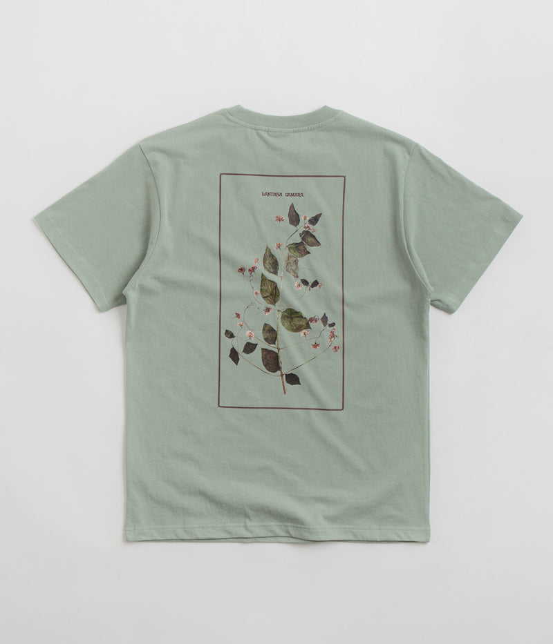 Pass Port Lantana T-Shirt in Stonewash Green