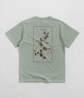 Pass Port Lantana T-Shirt in Stonewash Green