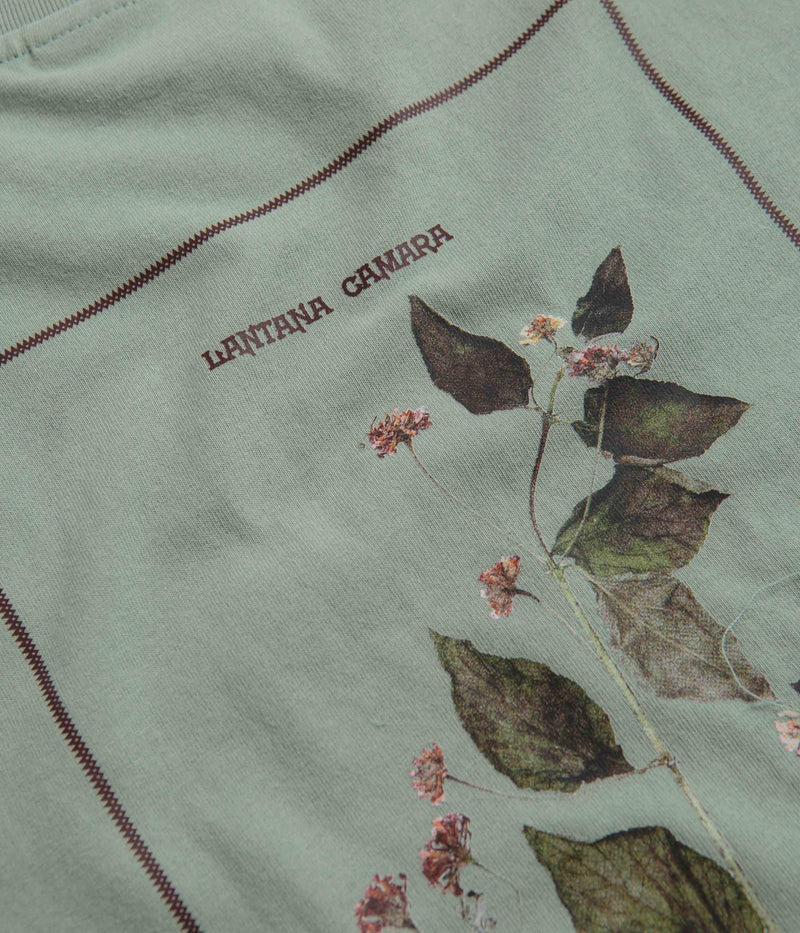 Pass Port Lantana T-Shirt in Stonewash Green