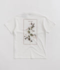 Pass Port Lantana T-Shirt in White