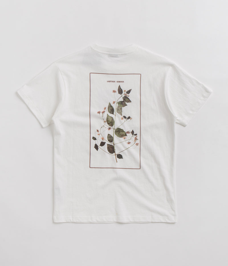 Pass Port Lantana T-Shirt in White