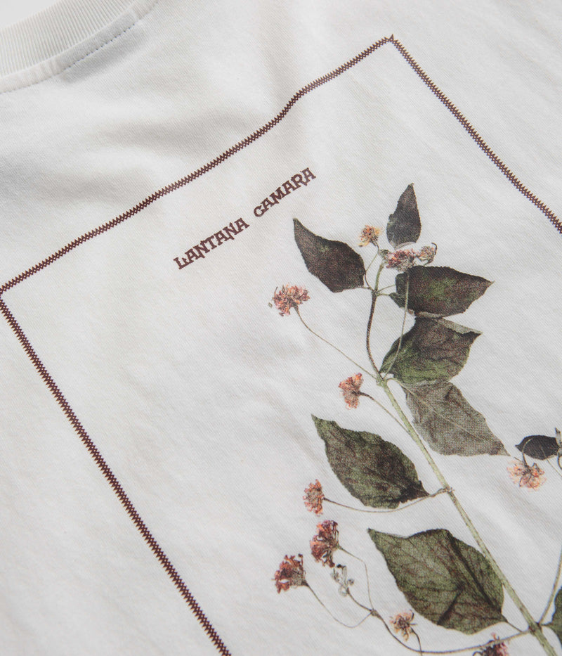 Pass Port Lantana T-Shirt in White