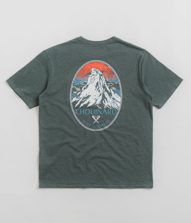 Patagonia Chouinard Crest Pocket Responsibili-Tee T-Shirt in Nouveau Green