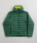 Patagonia Down Sweater Hooded Jacket (NetPlus®) in Conifer Green