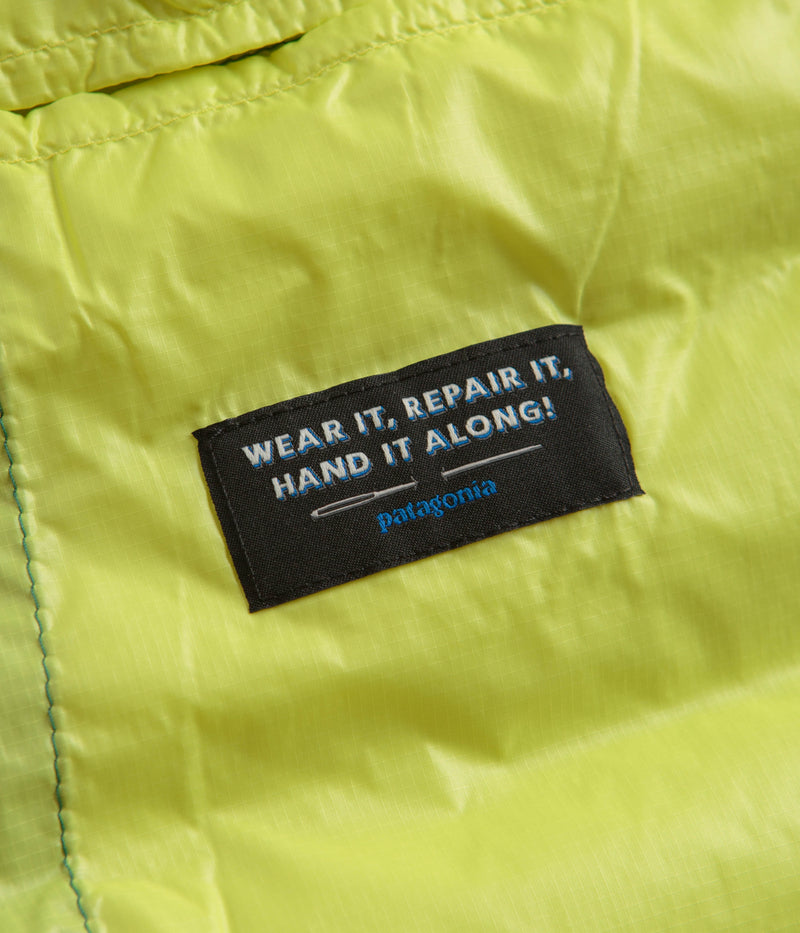 Patagonia Down Sweater Hooded Jacket (NetPlus®) in Conifer Green