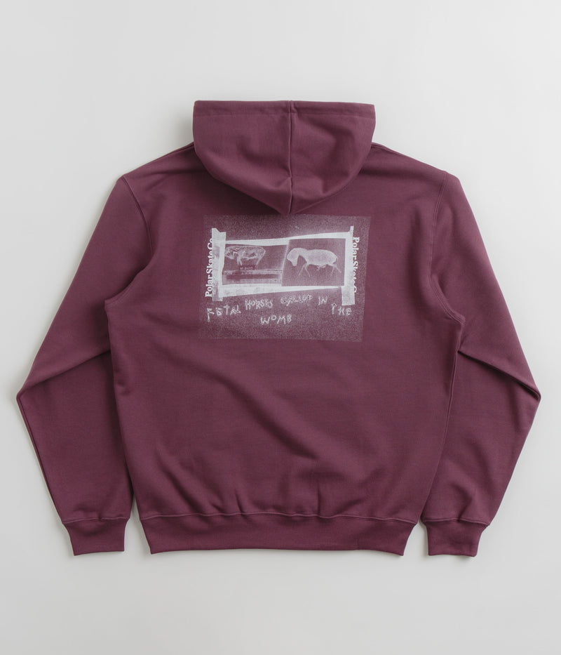 Polar Beautiful Horses Dave Hoodie in Plum
